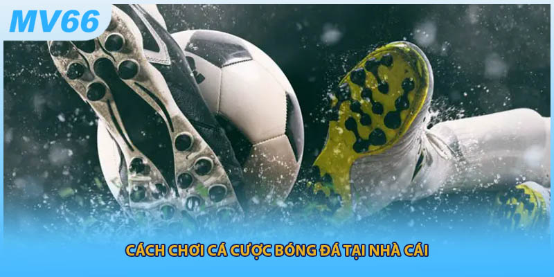 Cách chơi cá cược bóng đá tại nhà cái