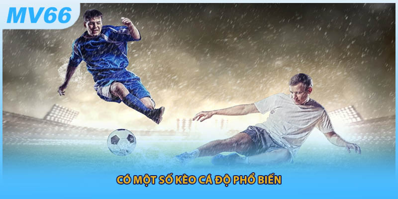 Có một số kèo cá độ phổ biến