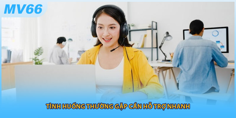 Tình huống thường gặp cần hỗ trợ nhanh